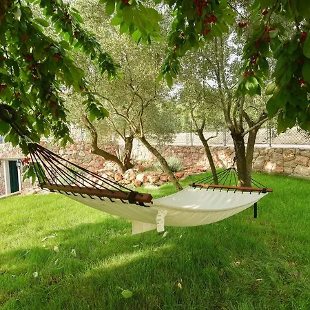Lipa Villa *